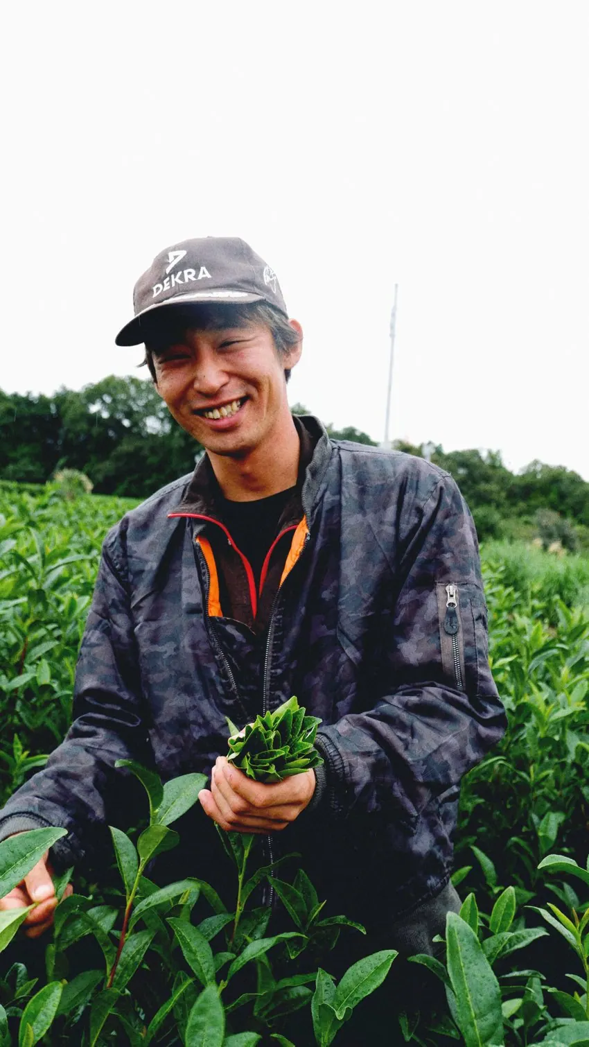 茶畑で茶葉を育てる日本の生産者